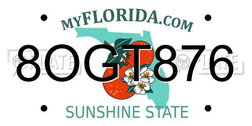 8OGT876 Florida License Plate