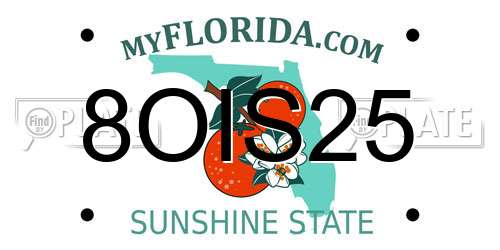 8OIS25 Florida License Plate