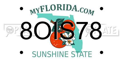 8OIS78 Florida License Plate