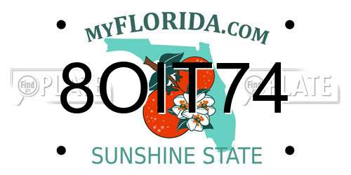8OIT74 Florida License Plate