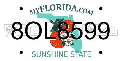 8OL8599 Florida License Plate
