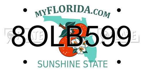 8OLB599 Florida License Plate