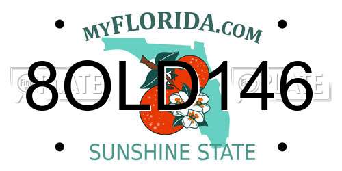 8OLD146 Florida License Plate