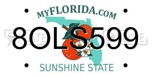 8OLS599 Florida License Plate