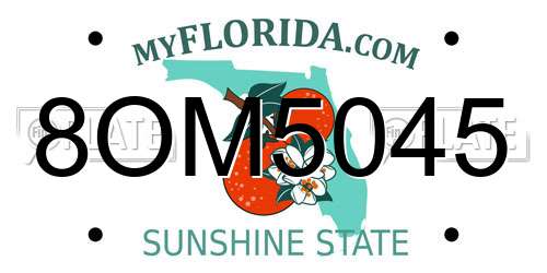 8OM5045 Florida License Plate