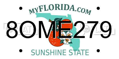 8OME279 Florida License Plate
