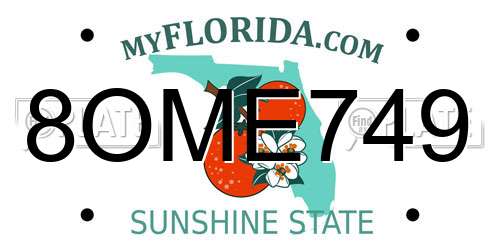 8OME749 Florida License Plate