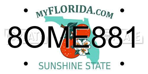 8OME881 Florida License Plate