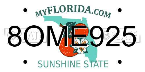 8OME925 Florida License Plate