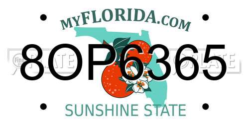 8OP6365 Florida License Plate