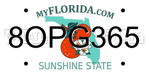 8OPG365 Florida License Plate