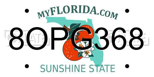 8OPG368 Florida License Plate