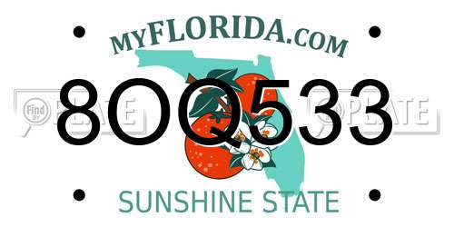 8OQ533 Florida License Plate