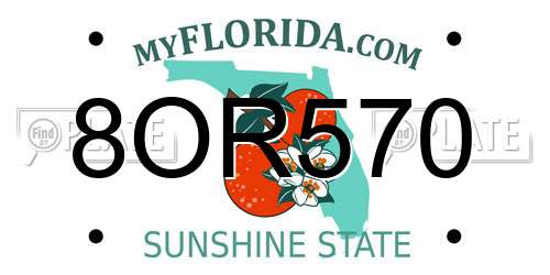 8OR570 Florida License Plate