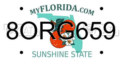 8ORG659 Florida License Plate