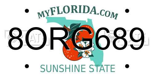 8ORG689 Florida License Plate