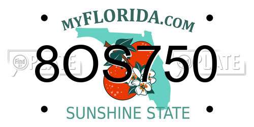 8OS750 Florida License Plate