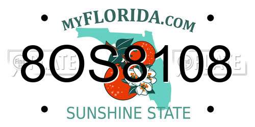 8OS8108 Florida License Plate