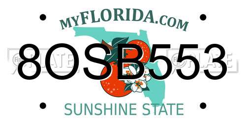 8OSB553 Florida License Plate