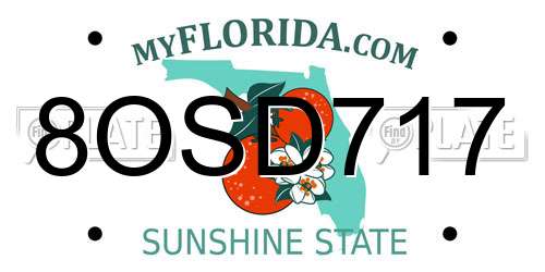 8OSD717 Florida License Plate