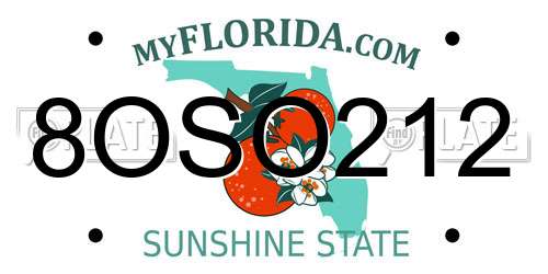 8OSO212 Florida License Plate