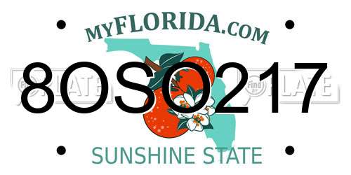 8OSO217 Florida License Plate