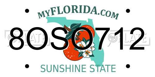 8OSO712 Florida License Plate