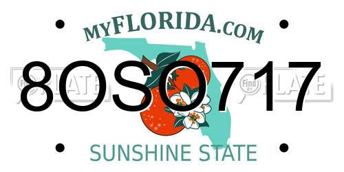 8OSO717 Florida License Plate