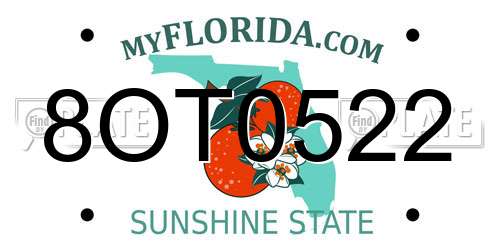 8OT0522 Florida License Plate