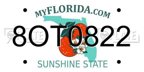 8OT0822 Florida License Plate