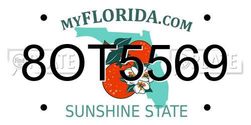 8OT5569 Florida License Plate