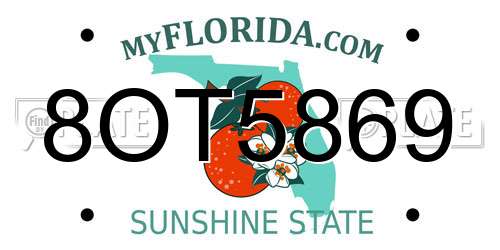 8OT5869 Florida License Plate