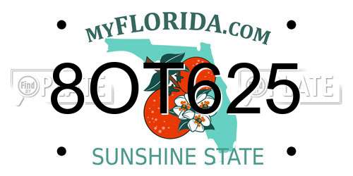 8OT625 Florida License Plate