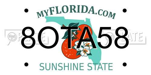 8OTA58 Florida License Plate