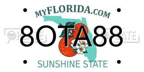 8OTA88 Florida License Plate
