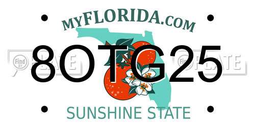 8OTG25 Florida License Plate