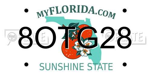 8OTG28 Florida License Plate