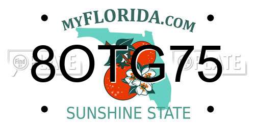 8OTG75 Florida License Plate