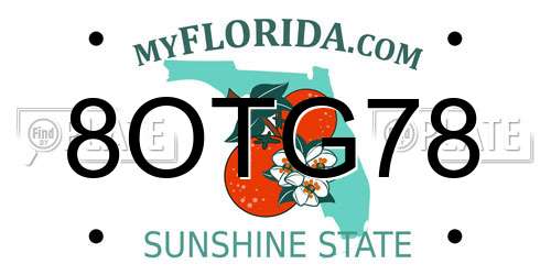 8OTG78 Florida License Plate