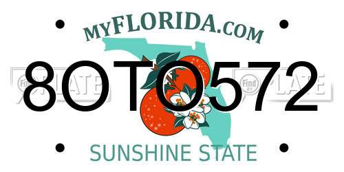 8OTO572 Florida License Plate