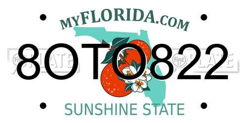 8OTO822 Florida License Plate