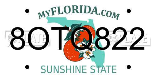 8OTQ822 Florida License Plate