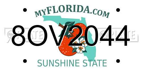8OV2044 Florida License Plate