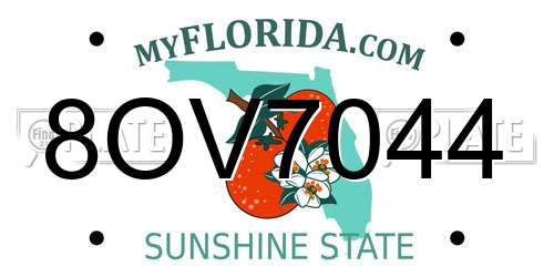 8OV7044 Florida License Plate