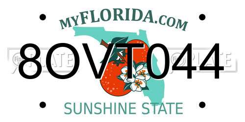 8OVT044 Florida License Plate