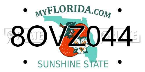 8OVZ044 Florida License Plate