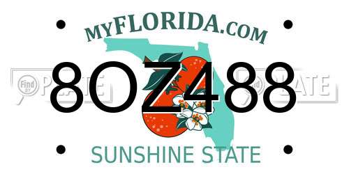 8OZ488 Florida License Plate