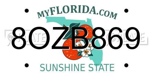 8OZB869 Florida License Plate
