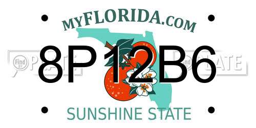 8P12B6 Florida License Plate