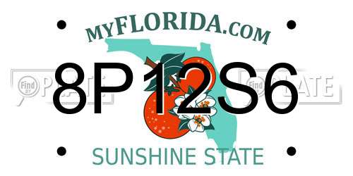 8P12S6 Florida License Plate